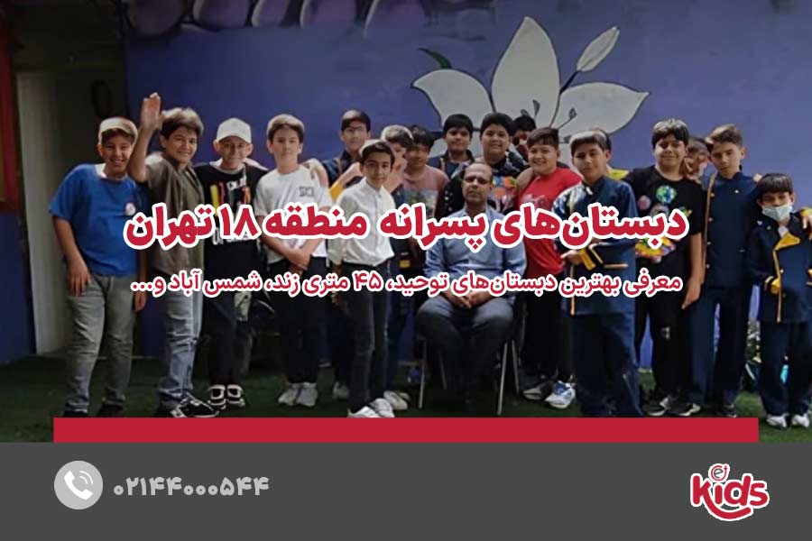 مدارس دبستان پسرانه منطقه 18