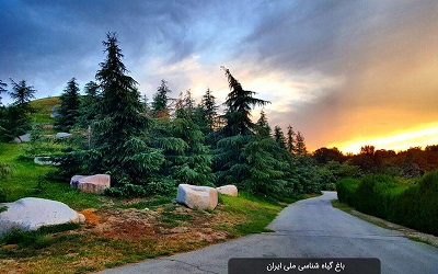 باغ گیاه شناسی ملی ایران
