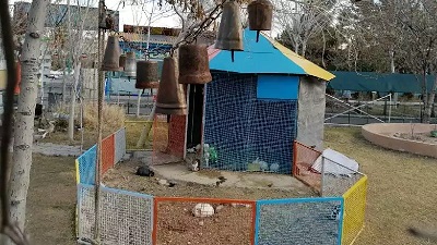 سرزمین لاکپشت ها 