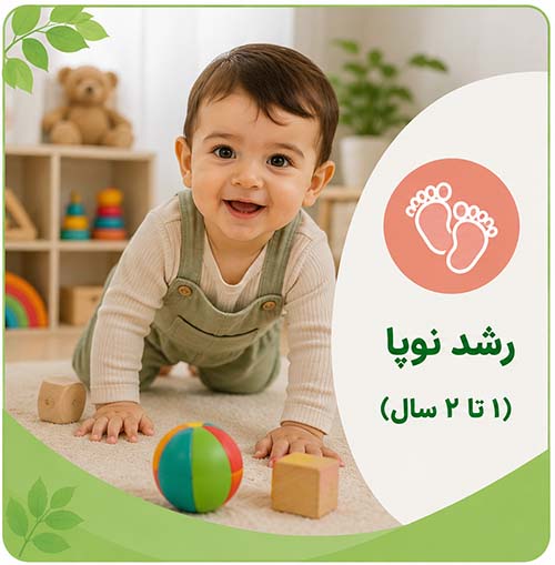 رشد نوپا 2 تا 3 سال